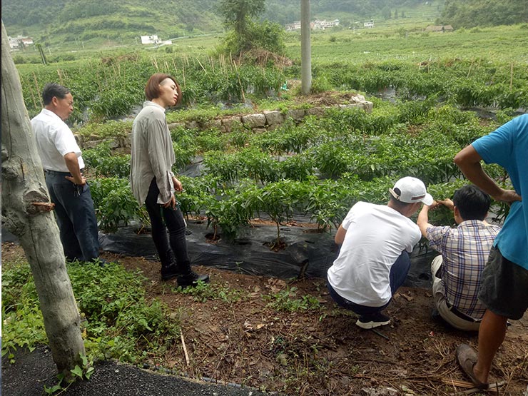 首页- Z6官网中国区人生就是博