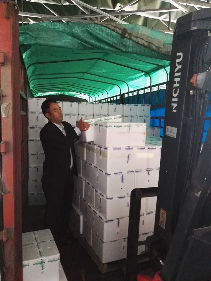 首页- Z6官网中国区人生就是博