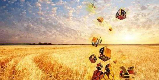 首页- Z6官网中国区人生就是博