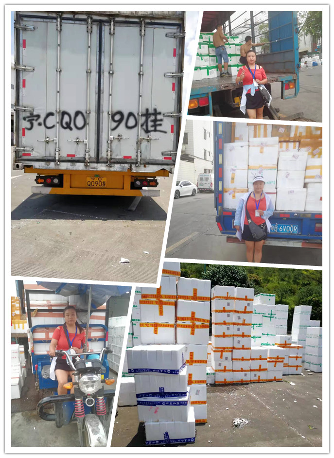 首页- Z6官网中国区人生就是博