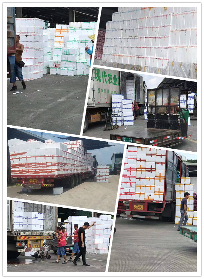 首页- Z6官网中国区人生就是博