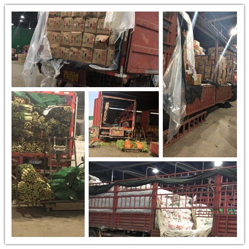 首页- Z6官网中国区人生就是博