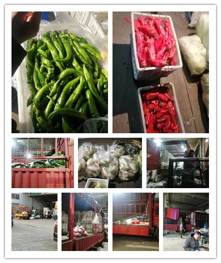 首页- Z6官网中国区人生就是博