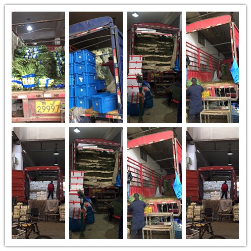 首页- Z6官网中国区人生就是博