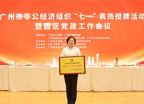 标杆引领，荣誉升级！集团党支部荣膺广州市非公有造经济组织“双强六好”标